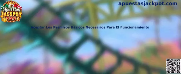 Aceptar los permisos básicos necesarios para el funcionamiento