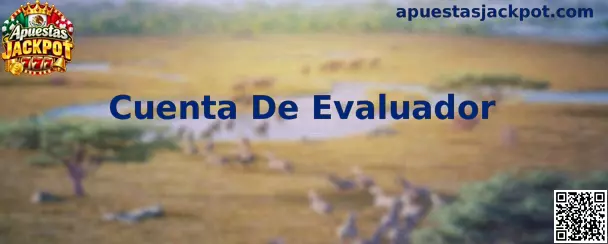 Cuenta De Evaluador en plataforma de prueba